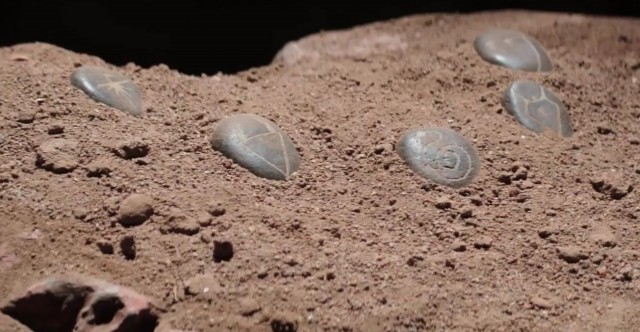 The Darkness Fotoğrafı