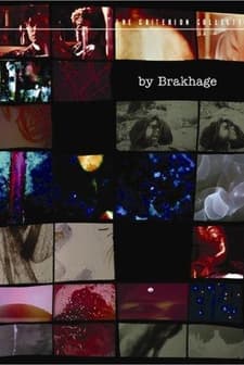 Rage Net (1988) afişi