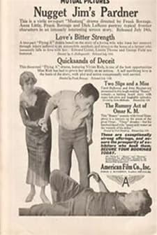 Nugget Jim's Pardner (1916) afişi