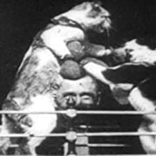 The Boxing Cats (prof. Welton's) (1894) afişi