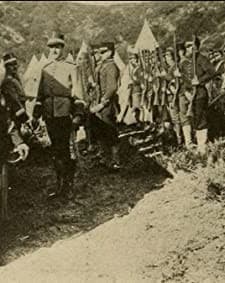 The Dishonored Medal (1914) afişi