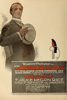 Mr. Opp (1917) afişi