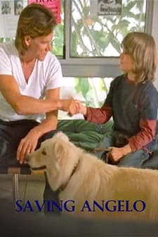 Saving Angelo (2007) afişi
