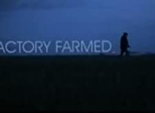 Factory Farmed (2008) afişi
