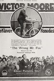 The Wrong Mr. Fox (1917) afişi