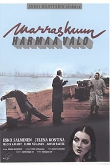 Marraskuun Harmaa Valo (1993) afişi