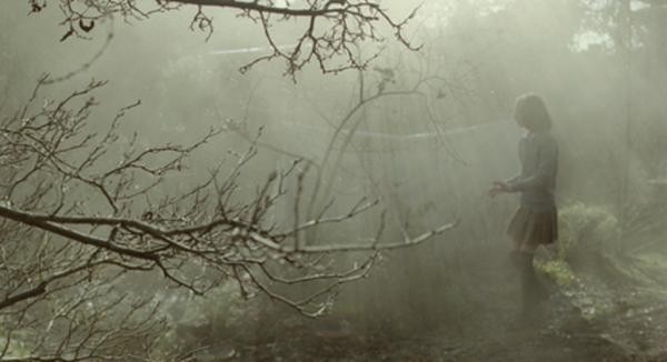 The Lost Explorer Fotoğrafı