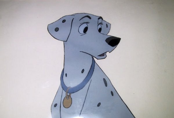 101 Dalmaçyalı Fotoğrafı