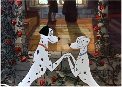 101 Dalmaçyalı Fotoğrafı