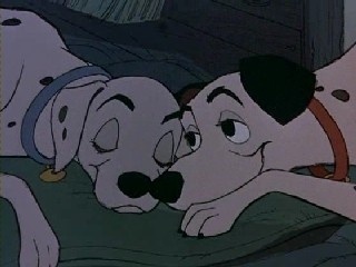 101 Dalmaçyalı Fotoğrafı