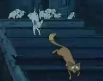 101 Dalmaçyalı Fotoğrafı