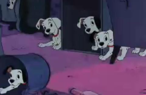 101 Dalmaçyalı Fotoğrafı