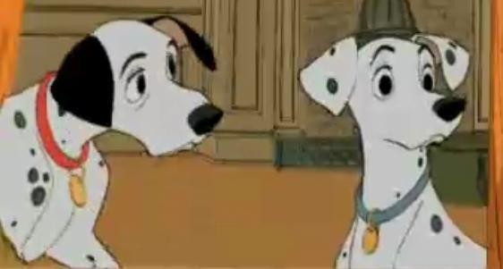 101 Dalmaçyalı Fotoğrafı