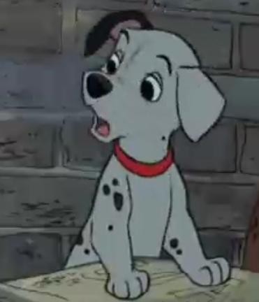 101 Dalmaçyalı Fotoğrafı