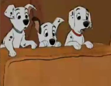 101 Dalmaçyalı Fotoğrafı