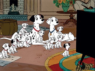 101 Dalmaçyalı Fotoğrafı