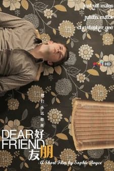 Sevgili Dostum (2011) afişi