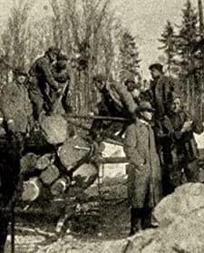 The Boss Of Lumber Camp Number Four (1912) afişi