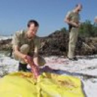 Stomp! Shout! Scream! fotoğrafı