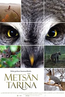 Metsän tarina (2012) afişi