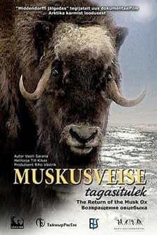 Muskusveise Tagasitulek (2008) afişi