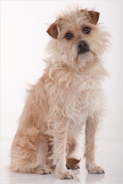 İlk ve Son Aşkım Fotoğrafı