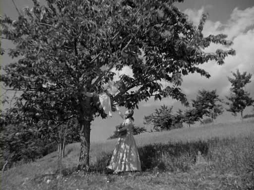 Divá Bára fotoğrafı