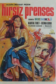 Hırsız Prenses (1967) afişi