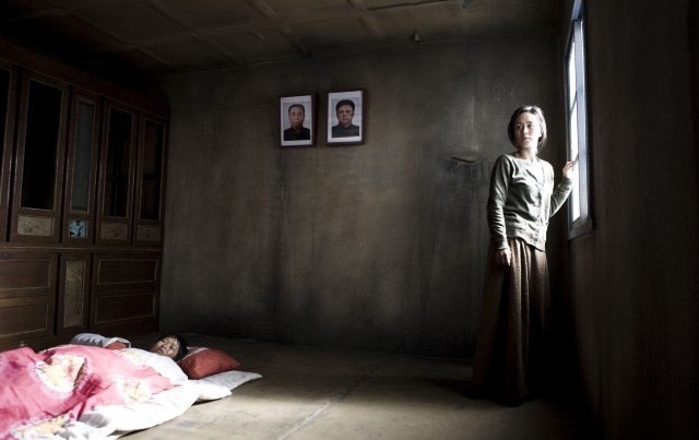 Winter Butterfly Fotoğrafı