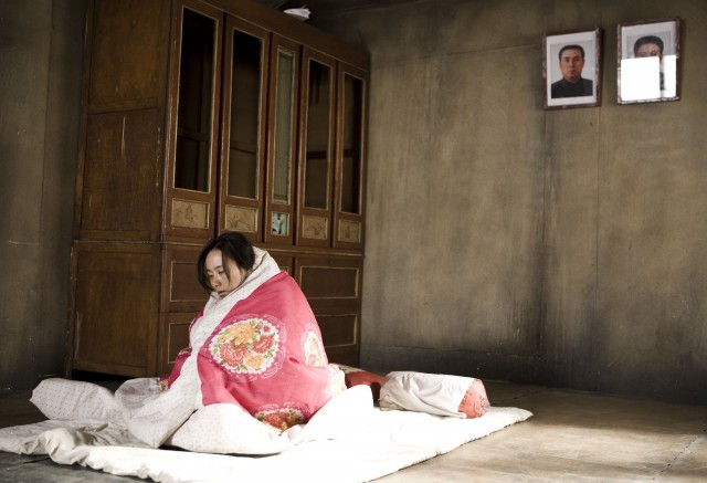 Winter Butterfly Fotoğrafı