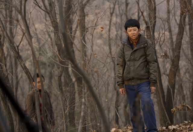 Winter Butterfly Fotoğrafı