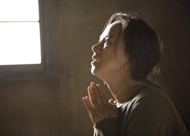 Winter Butterfly Fotoğrafı