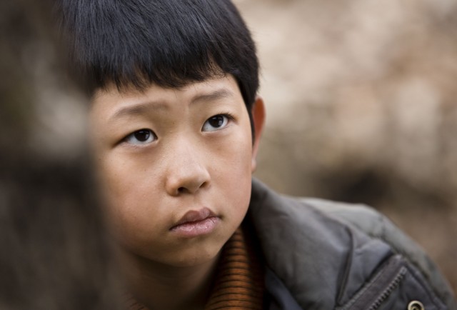 Winter Butterfly fotoğrafı