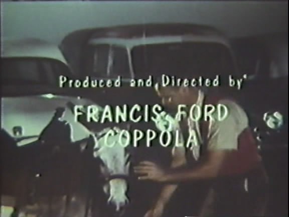 Tonight For Sure fotoğrafı