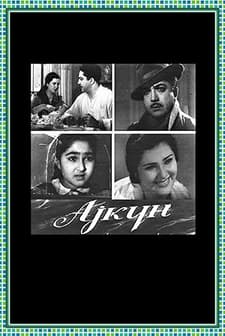 Aygün (1960) afişi