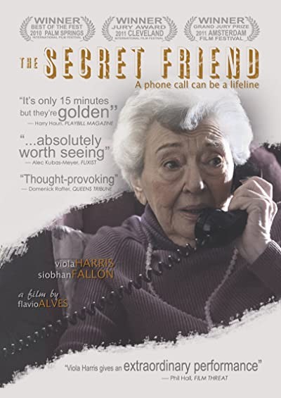 The Secret Friend (2010) afişi