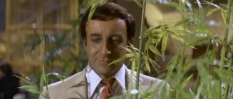 Tatlı Budala fotoğrafı