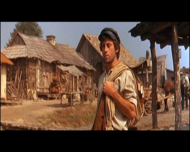 Damdaki Kemancı Fotoğrafı