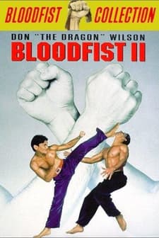 Bloodfist II (1990) afişi
