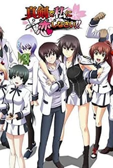 Maji De Watashi Ni Koi Shinasai!! (2011) afişi