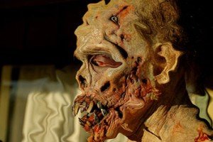 Davetsiz Gelen fotoğrafı