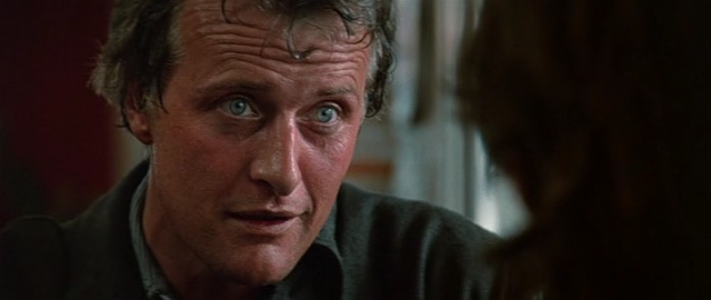 Otostopçu Fotoğrafı