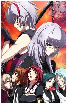 Seikon No Qwaser afişi