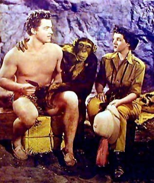 Safari Drums fotoğrafı