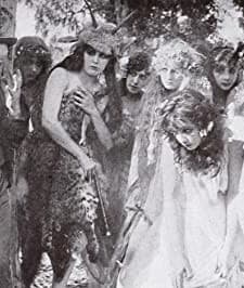 The Hobo And The Myth (1913) afişi