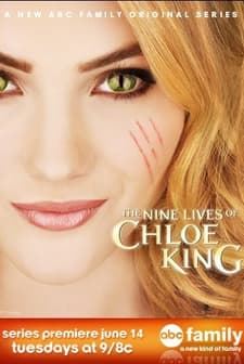 The Nine Lives Of Chloe King (2011) afişi
