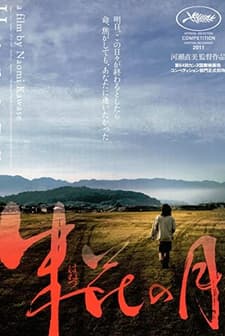 Hanezu (2011) afişi