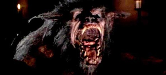 Ulumalar fotoğrafı