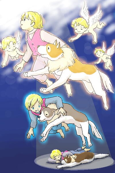 Dog Of Flanders fotoğrafı