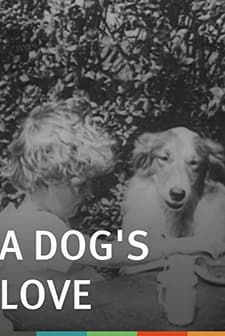 A Dog's Love (1914) afişi
